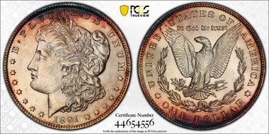 1891 $1 MS63