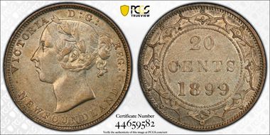1899 20C Large 99 AU50