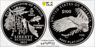 2022-W $100 Freedom of Speech First Strike PR69DCAM