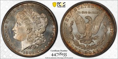 1891-CC $1 MS66