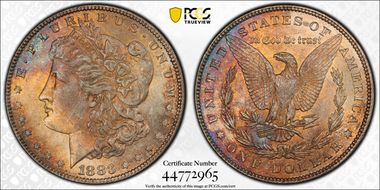 1883 $1 MS63