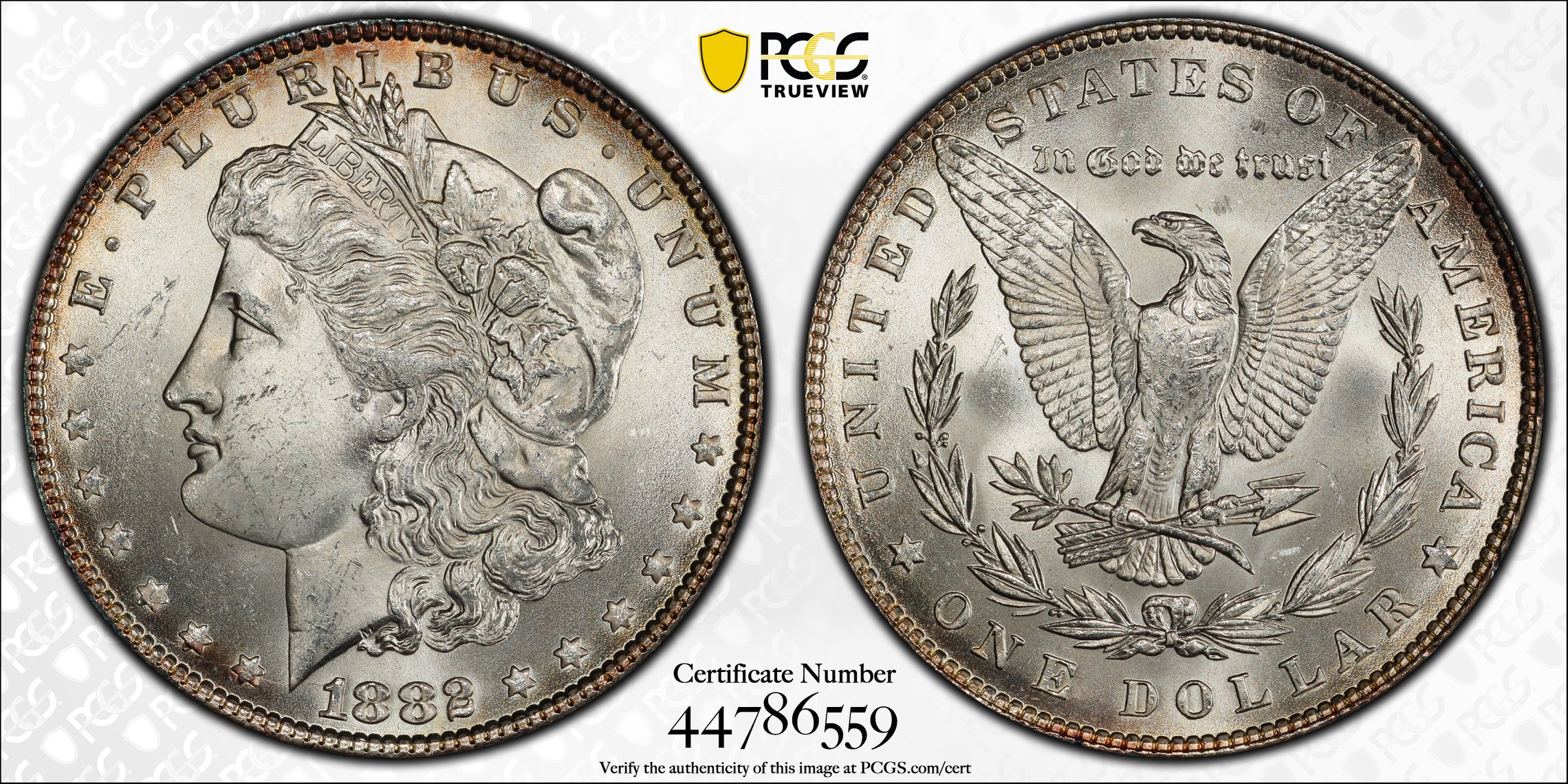 PCGS 钱币信息| 认证编号#44786559 - 1882 The United States of 