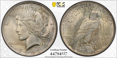 1923-D $1 VAM 1E Extra Hair AU58