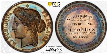 (1880-DT) Medal Literacy Award Ag SP62