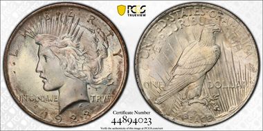 1923 $1 VAM 1V, Extra Hair MS65