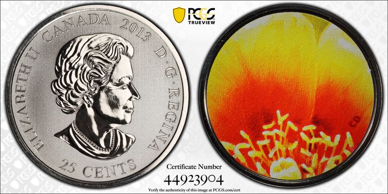 Cert 44923904 - Coin Image