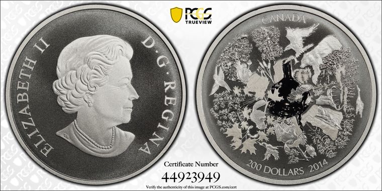 Cert 44923949 - Coin Image