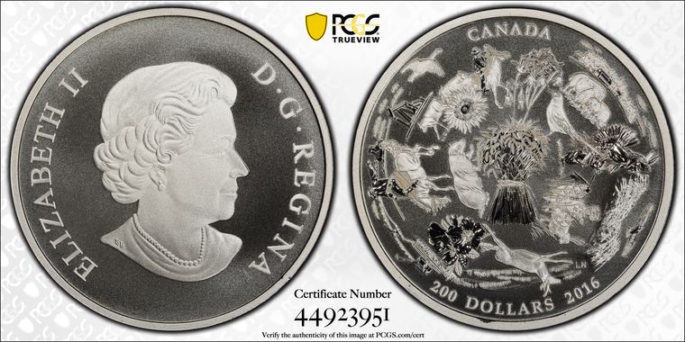 Cert 44923951 - Coin Image