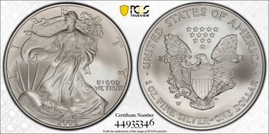 2006-W $1 Burnished Silver Eagle 20th Anniversary SP70