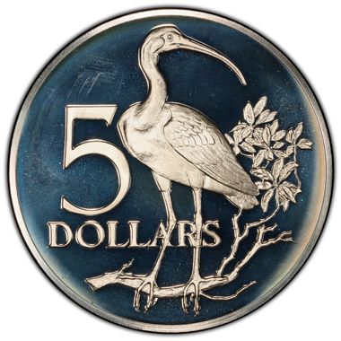 Cert 44937502 - Coin Image