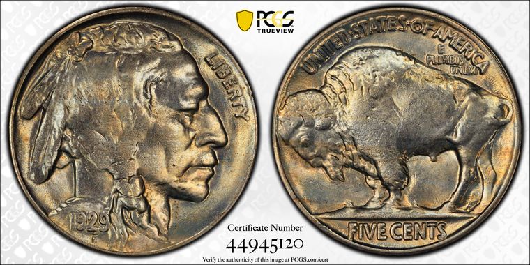 Cert 44945120 - Coin Image