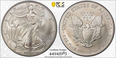 2006-W $1 Burnished Silver Eagle 20th Anniversary SP69