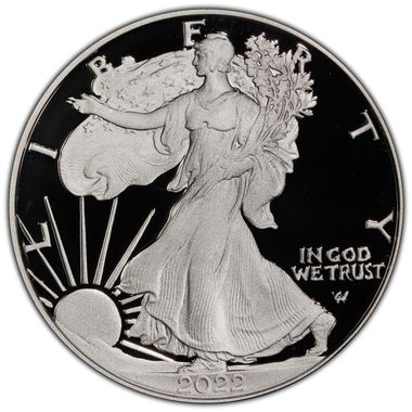 Cert 45015101 - Coin Image