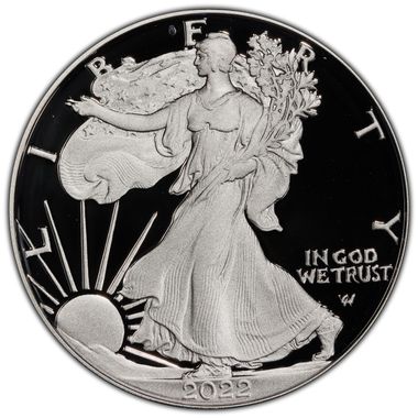 Cert 45015102 - Coin Image