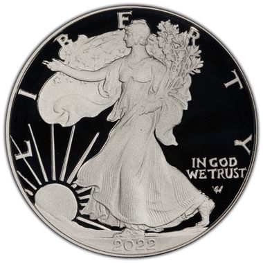 Cert 45015104 - Coin Image