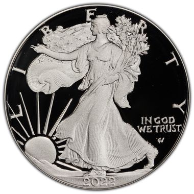 Cert 45015105 - Coin Image