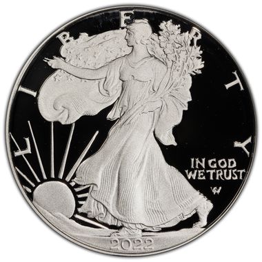Cert 45015106 - Coin Image