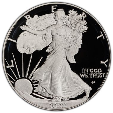 Cert 45015107 - Coin Image