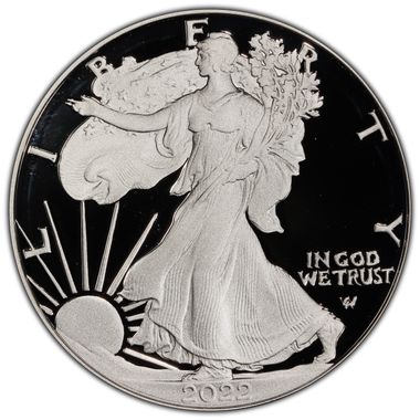 Cert 45015108 - Coin Image
