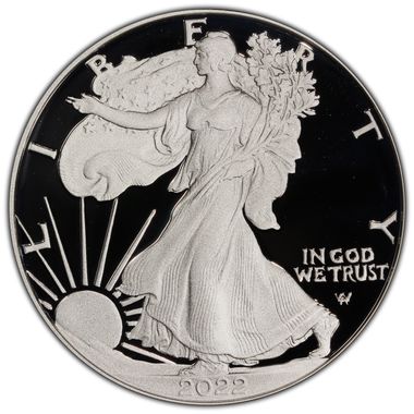 Cert 45015110 - Coin Image