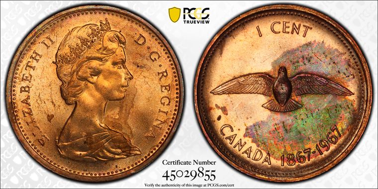 Cert 45029855 - Coin Image