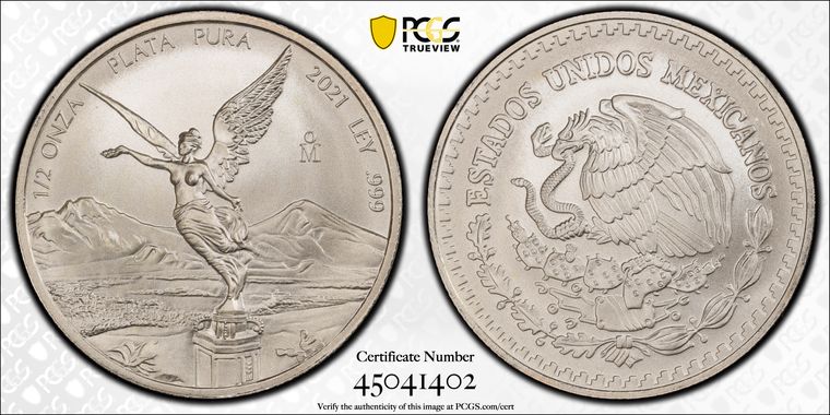 Cert 45041402 - Coin Image