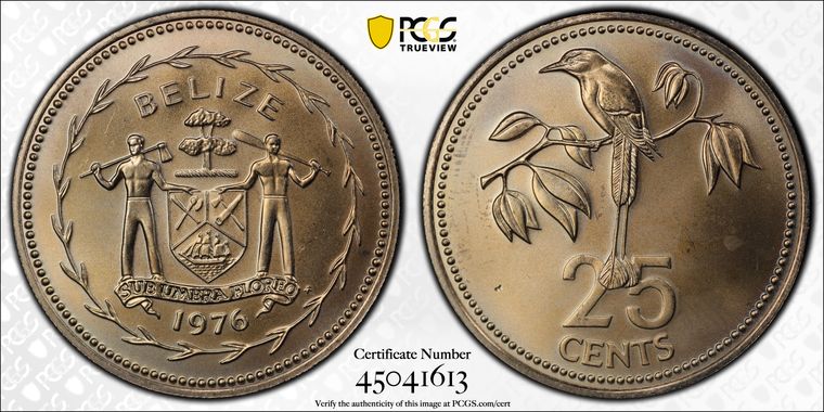 Cert 45041613 - Coin Image