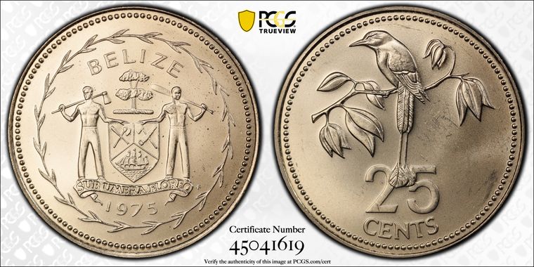 Cert 45041619 - Coin Image