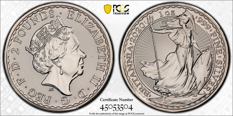 Cert 45053504 - Coin Image