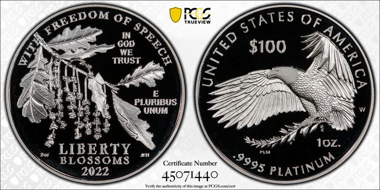 Cert 45071440 - Coin Image