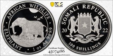 2022 100 S African Elephant Ag First Strike MS68