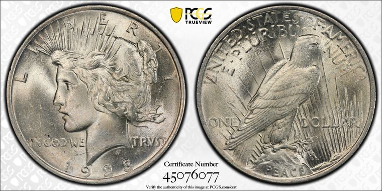 Cert 45076077 - Coin Image