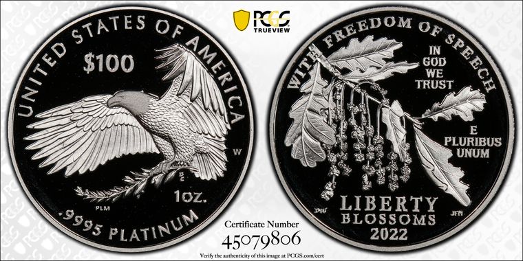 Cert 45079806 - Coin Image