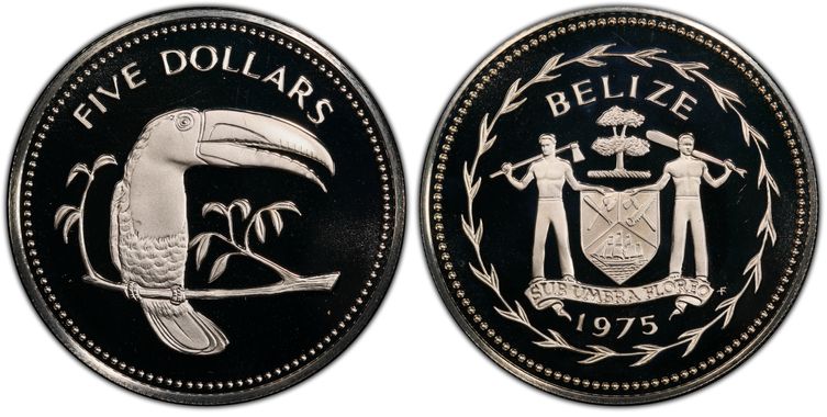 Cert 45094542 - Coin Image