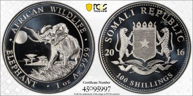 2016 100 S African Elephant MS68