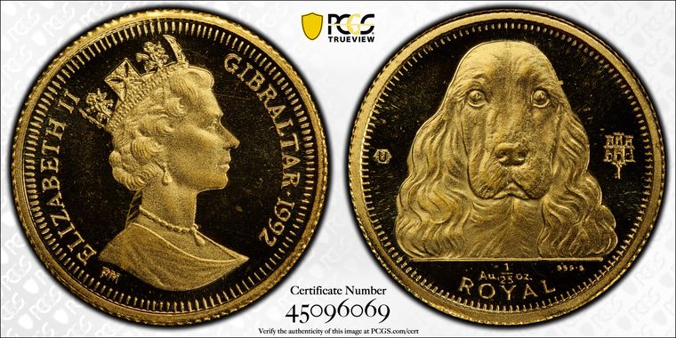 Cert 45096069 - Coin Image