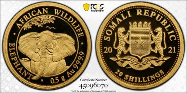 2021 20 S African Elephant Au .50g MS70