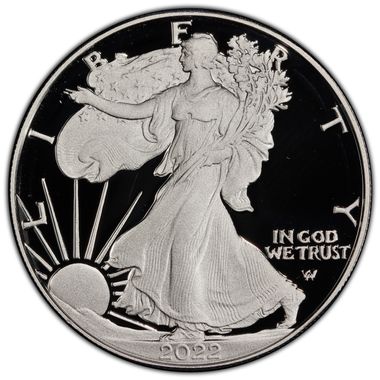 Cert 45100156 - Coin Image