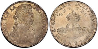 1827-PTS JM 8 Sol Large alpacas N1