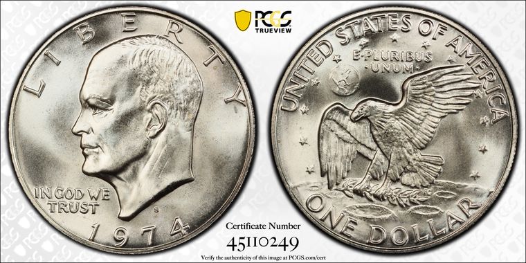 Cert 45110249 - Coin Image