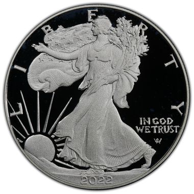 Cert 45117159 - Coin Image