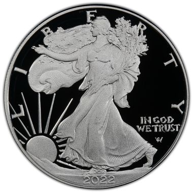 Cert 45117166 - Coin Image