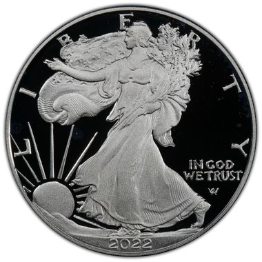 Cert 45117170 - Coin Image