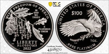2022-W $100 Freedom of Speech PR69DCAM
