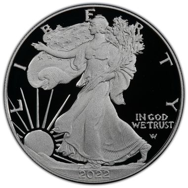 Cert 45118684 - Coin Image