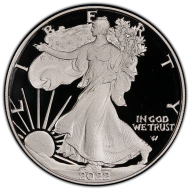 Cert 45121473 - Coin Image