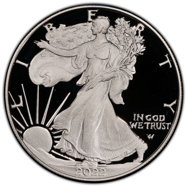 Cert 45151002 - Coin Image