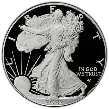 Cert 45151042 - Coin Image