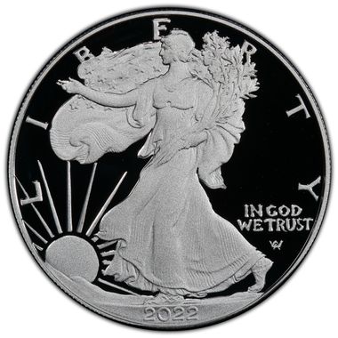 Cert 45162346 - Coin Image