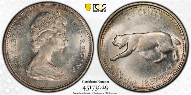 Cert 45173029 - Coin Image